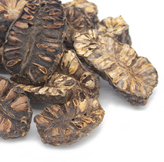 노니열매 인도네시아 150g 건조, 1개