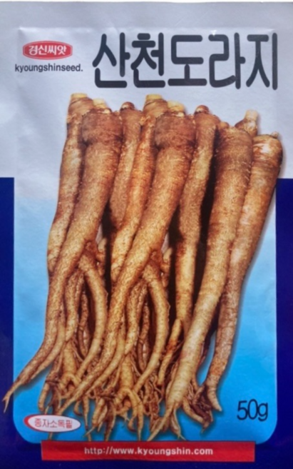 도라지 씨앗 산천도라지종자 50g, 1개