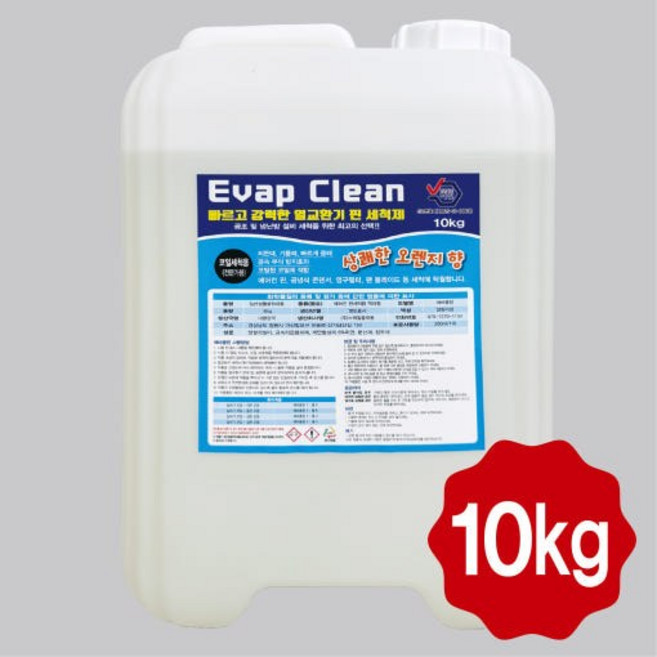 에바클린 에어컨 세척제 전문가용 곰팡이제거 특화, 1개, 10L