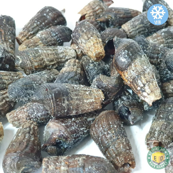 푸드마을 냉동 자숙 갯고동 1kg, 1개, 1kg 갯고동