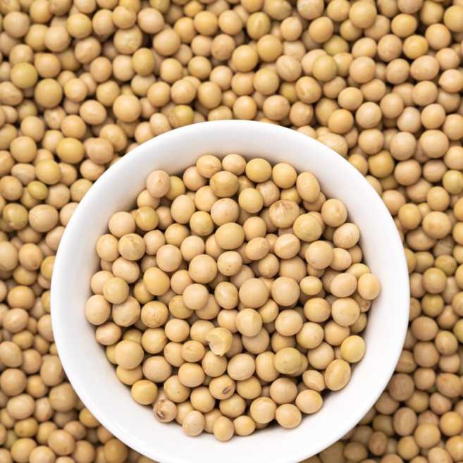 국산 백태 5kg 대두 메주콩 청국장 두부, 1개