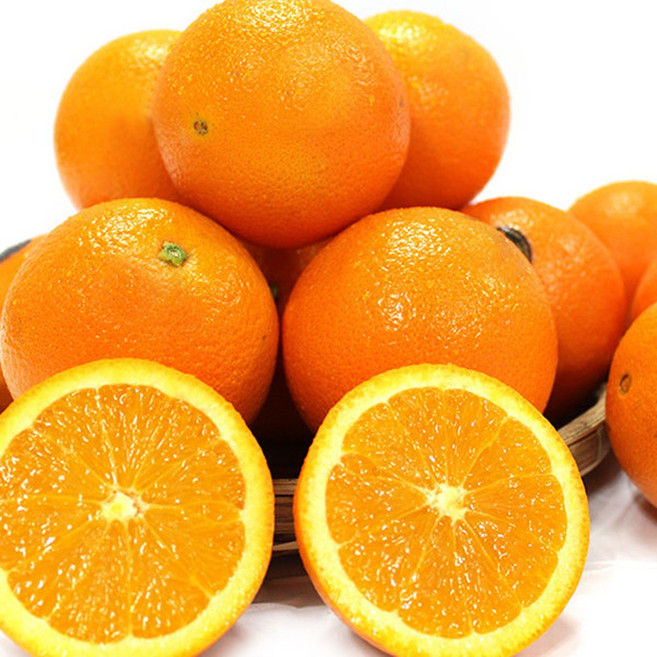 새콤달콤 블랙라벨 오렌지 대과, 1박스, 3kg(12과내외)