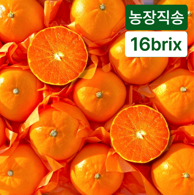 [도전최저가] 제주도 천혜향 못난이, 1개, 5kg (25과내외)