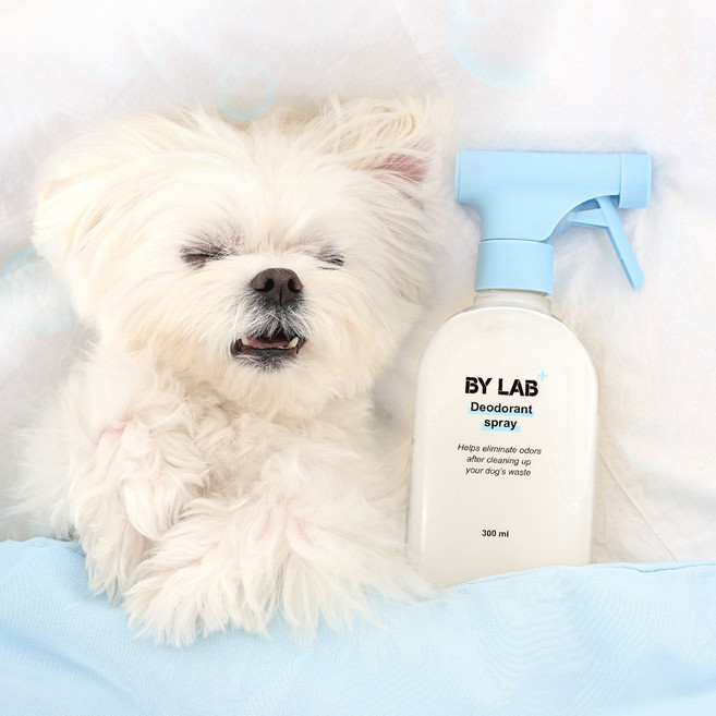 바이랩 탈취제 강아지 냄새 오줌 암모니아 배변 소변 얼룩 미생물 제거제, 1개, 300ml