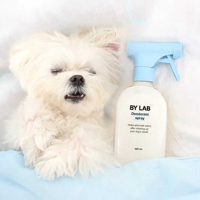 바이랩 탈취제 강아지 냄새 오줌 암모니아 배변 소변 얼룩 미생물 제거제, 1개, 300ml - 쿠팡