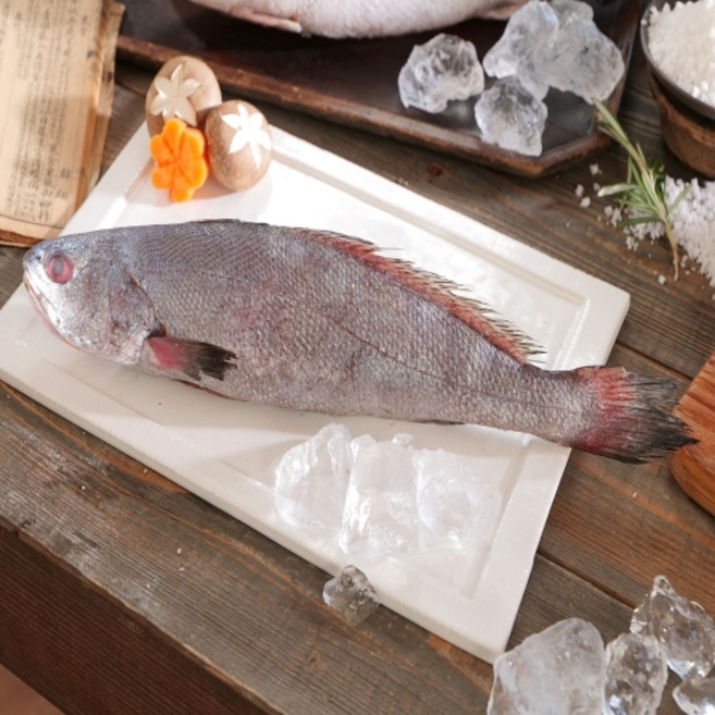 어부수산 여수 반건조 통민어 할복민어 손질생선 10마리, 10개