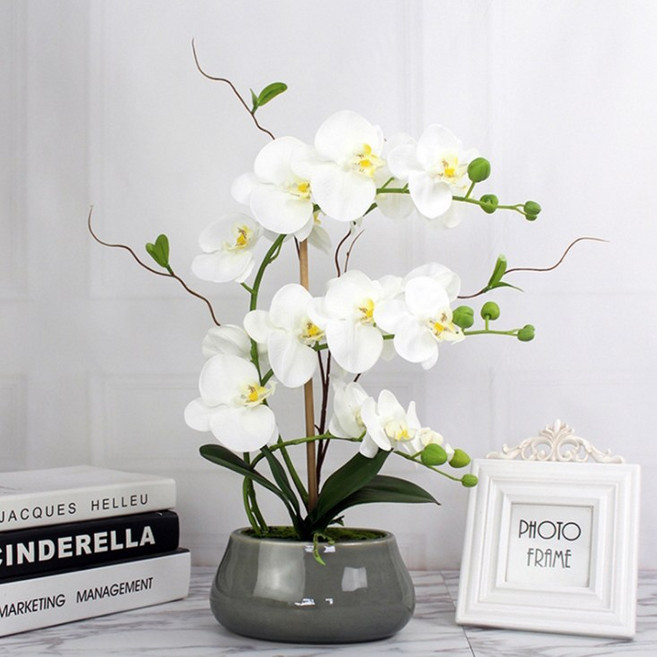 굿셀러스 화분연출 8개꽃 인조 난꽃 중형 호접란 꽃줄기_1p, 연보라