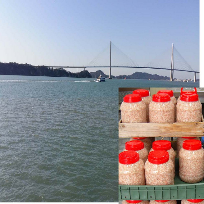 국산 새우젓 5 kg, 5kg, 1개