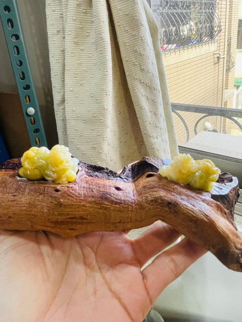 黃翡貔貅翡翠擺件一對，手工精雕黃加綠，冰潤色澤搭配木座，居家風水裝飾, 天然A貨玉 冰潤黃加綠手工精雕雙福雙進/獅子翡翠擺件(一對)  天然黃中帶翠 油潤帶冰 色甜工精 左吸財右納福, 1個