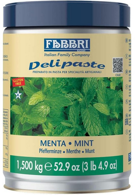 Fabbri Delipaste 파브리 델리페이스트 민트 플레이버링 젤라또 아이스크림용, 1개, 1.5kg