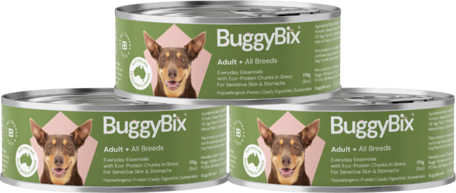 버기빅스 알러지 사료 | 습식사료 캔 3개세트 강아지알러지 저알러지 곤충단백질 당근 호박 완두콩 고단백사료, 3개, 170g, 곤충