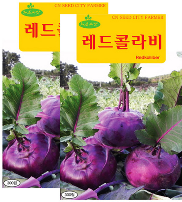 세인화분 레드콜라비씨앗 300립 콜라비씨 레드 콜라비 씨앗, 2개