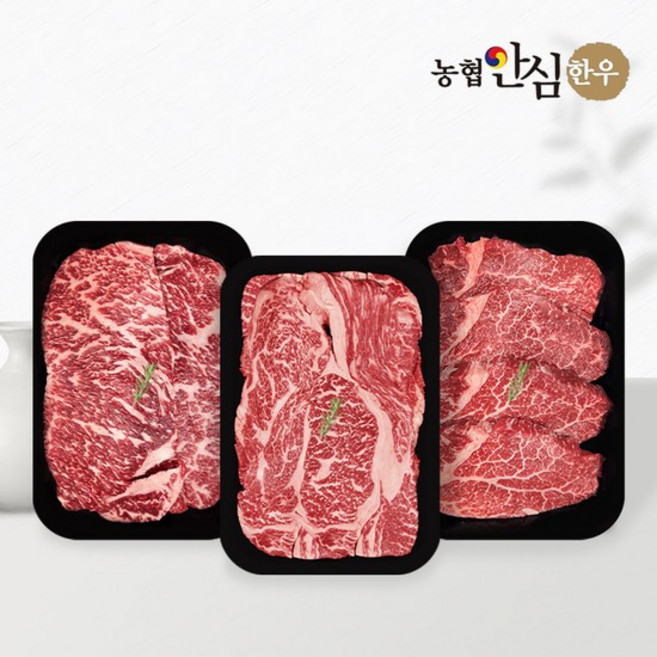 [농협안심한우] 1등급 한우 600g 실속세트(등심200g+채끝 200g+안심 200g), 없음, 1개