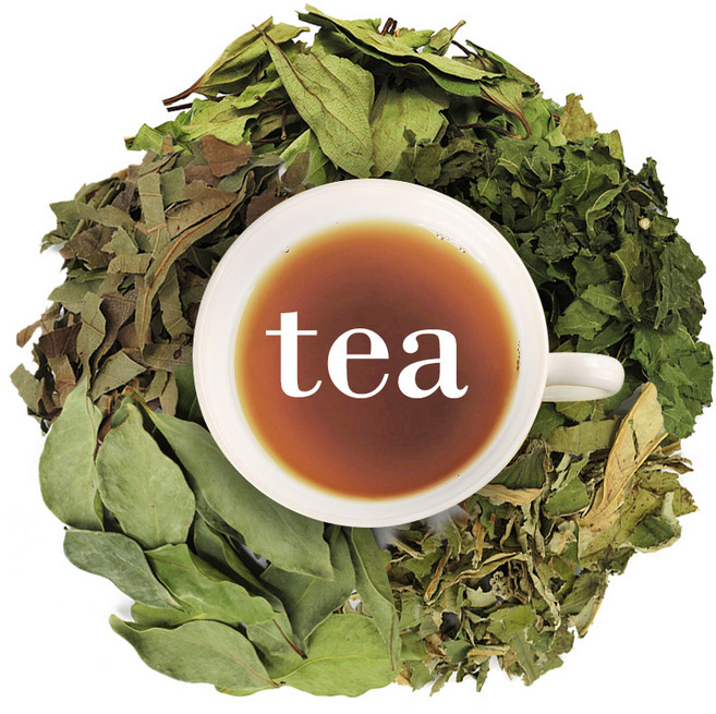 박하잎 연잎 구아바잎 삼백초 뽕잎 감잎 계피 효능, 7_삼백초400g, 1개, 400g