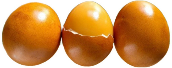 난각번호1번 방사 유정 구운란 맥반석계란 더 고소하고 쫀쫀한 군달걀, 1개, 20구