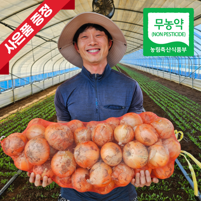 [파머슬] 국내산 친환경 무농약 햇양파 1kg 3kg 5kg 소과 중과 특대, 1박스, 3kg(중)