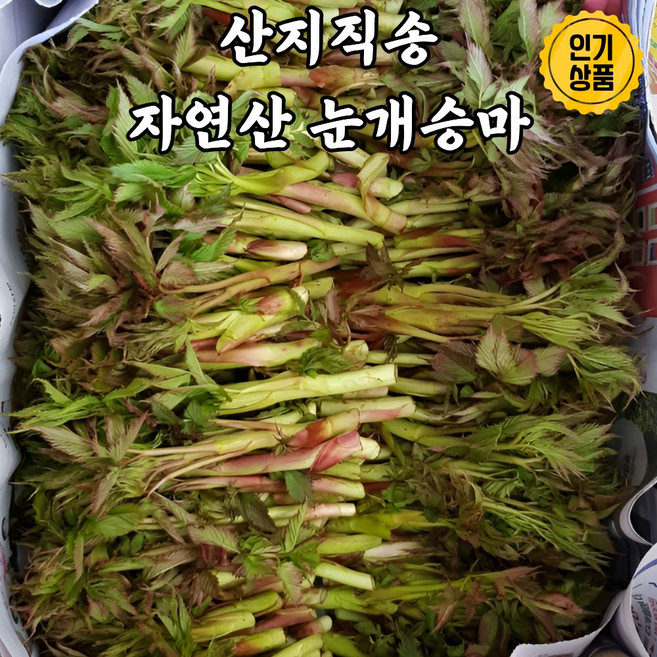 산지직송 자연산 제철 봄 나물 눈개승마 삼나물, 1개, 500g