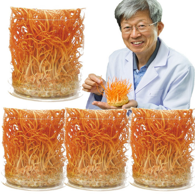 성재모 현미 동충하초 무농약 GAP 품종보호등록 생초(80g) 4병, 80g, 4개