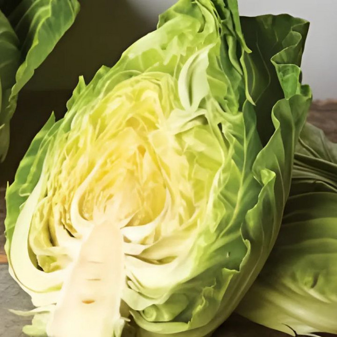 [파격특가]아삭한 산지직송 꼬깔양배추 고깔양배추, 1박스, 5kg
