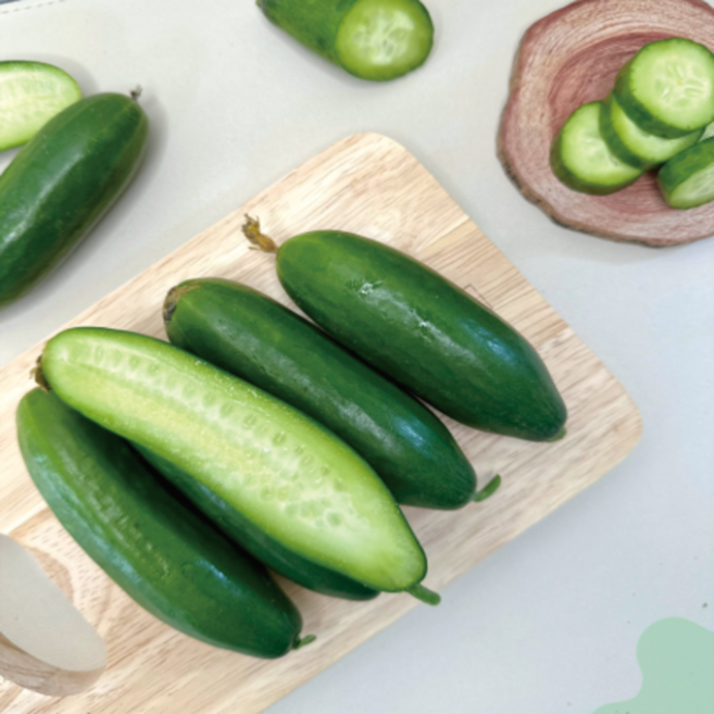 국내산 미니오이 1kg 아삭한 생식용 샐러드용 수분가득 등산용, 1개, 500g