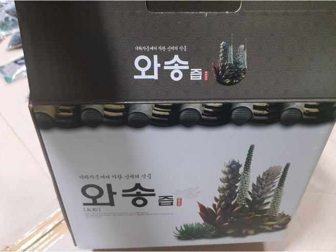 노지 토종 와송 생와송즙 판매합니다, 1개, 5L