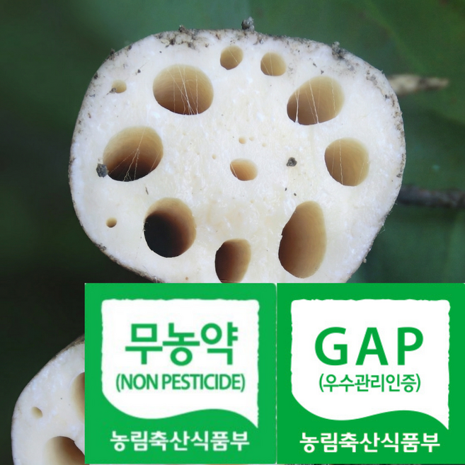 [천연퇴비특수농법] 단골보장 당일수확발송 햇연근 세척연근, 1박스, 1kg(실속)