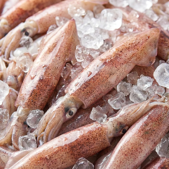 산지직송 특품 한치 급냉 한치, 1개, 500g (7~13미 내외)