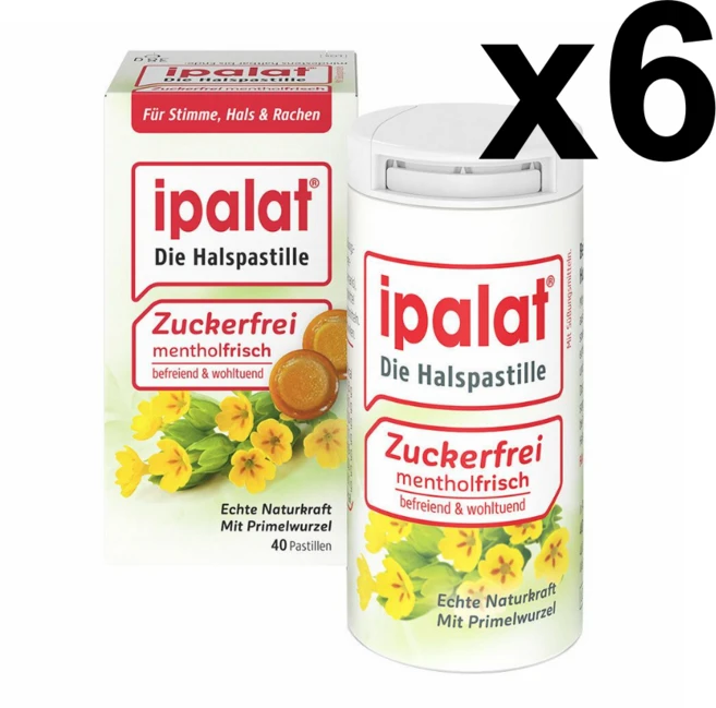 이팔라트 Ipalat 목캔디 무설탕 쉰목 기침 40정 독일직배송, 6개, 100g - 쿠팡