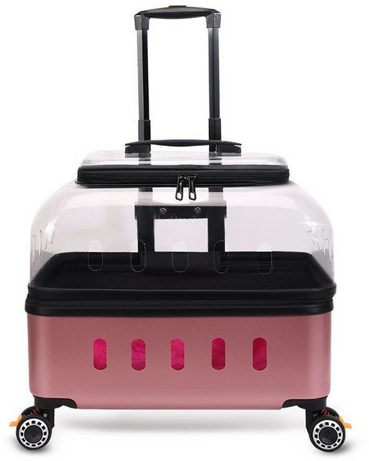 고양이 투명 가방 바퀴 산책 옥희독희 통기성 네모백팩