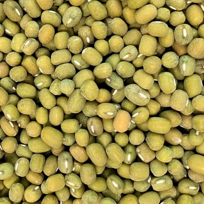 毛綠豆 1斤/600g, 1個, 毛綠豆<600G>