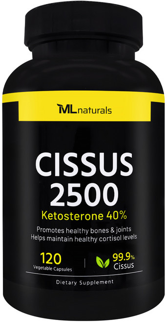 마이라이프 시서스 2500 120캡슐, 1개, 120정