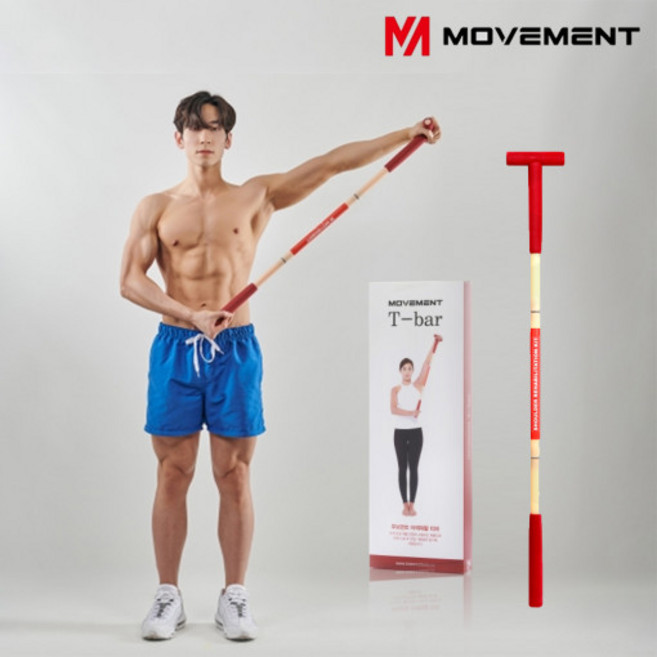 티바 굳은 어깨 운동 T바 수술 기구 무브먼트 T-BAR, 혼합색상, 1개
