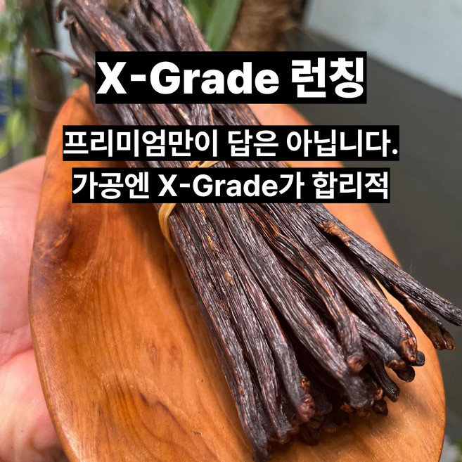 미스터 바닐라빈 X Grade (Vanilla Bean) 익스트렉 페이스트 제조용, 1개, 100g