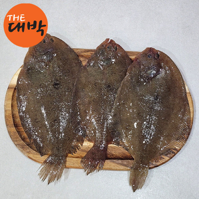 생물 가자미 참가자미 제철 생선, 1개, 포항 가자미 3kg