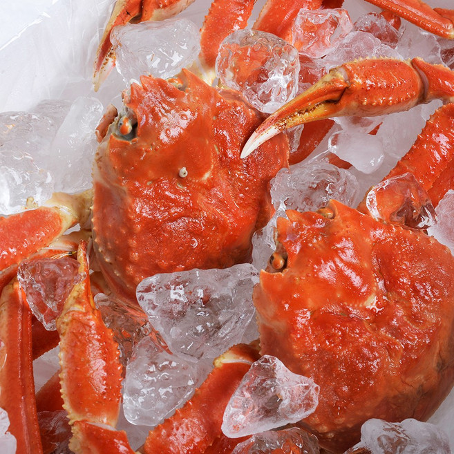 해일수산 홍게 대게 연지 붉은 박달 자숙 제철 홍게 홍개 게 2kg 3kg 5kg, (생물)박달 대게+사은품세트, 중(9.2cm~9.9cm) 3미, 1개