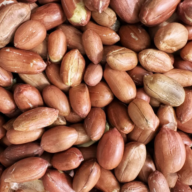 25년 수확 볶은땅콩 왕큰알, 1개, 3.75kg