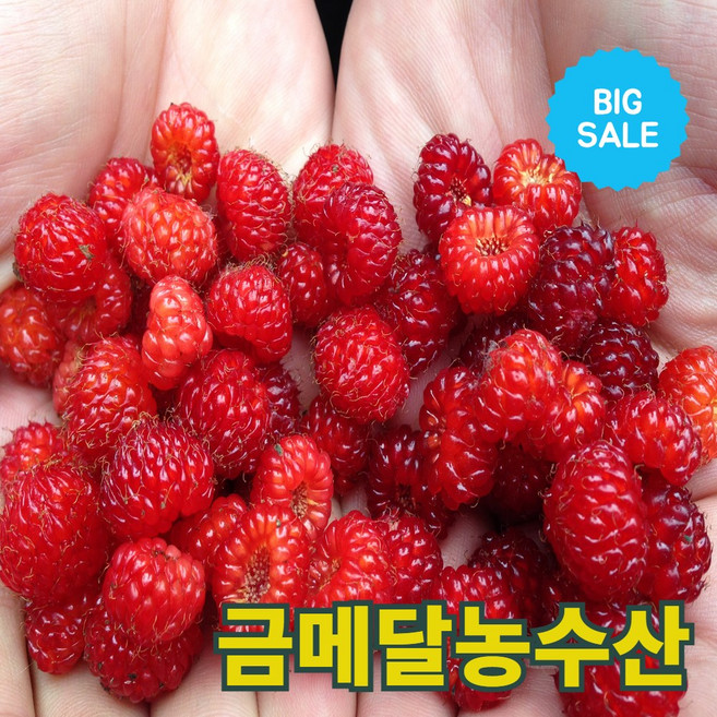 초특가 금메달농수산 국내산 급냉 산딸기, 1개, 1kg