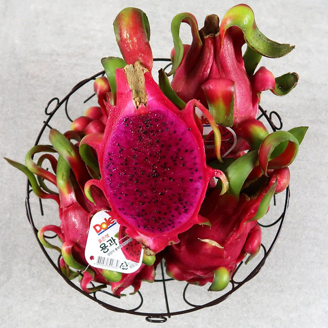 적용과 레드용과, 1개, 5kg 내외(6-10과)