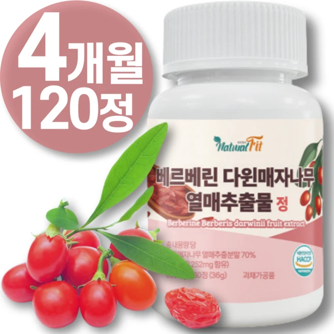 베르베린 추출물 식약청 HACCP 인증 매자나무 리포 베르베린 당 운데실렌산 플러스 조 분 말 미셀 직구 12 효능 5 캐나다 1 0 산 고함량 퀘르세틴 뇨 추천 00mg 영양제, 2개, 60정 - 쿠팡