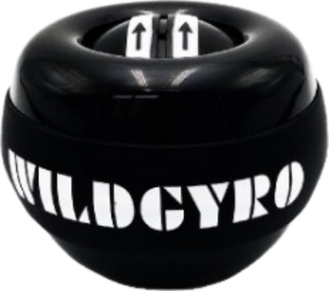WildGyro 六色 機械自啟動腕力球, 自啟動無光-黑(附球包), 1個, 270g
