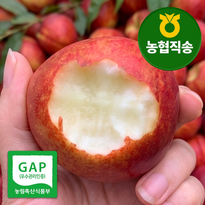 [농협직송 일50박스] GAP인증 황제 신비복숭아 초고당도, 1개, 3.5kg(황제)