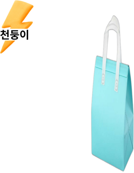 천둥이몰 일회용 보냉백 보냉팩 미니 봉투 손잡이 은박 50개, 스카이블루