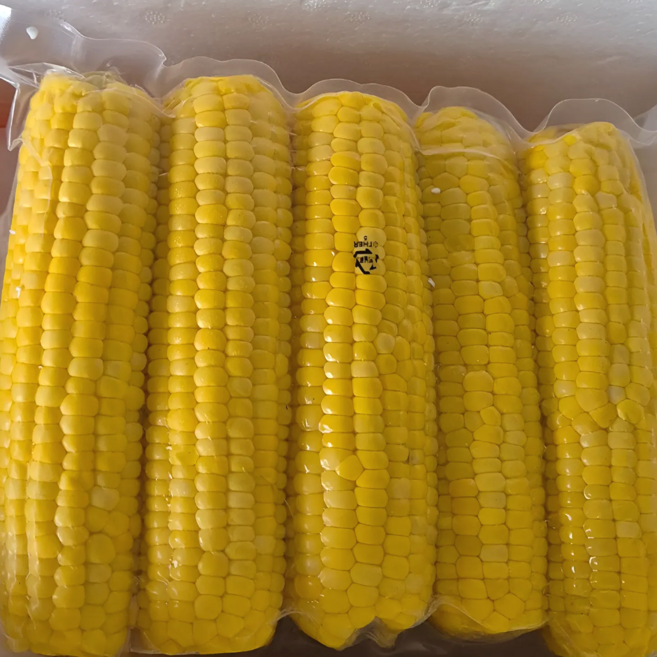 강원도 초당옥수수 고당도 특품 급냉 국산, 1세트, (특) 10개입