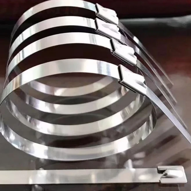 25 개 4.6x80 0/900/1000/1200/1300/1400/1500mm 천연 스테인레스 스틸 케이블 타이 잠금 금속 지퍼-배기, 01 빠른, 05 25PCS 4.6X1500