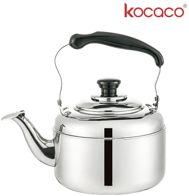 키친라인 NEW 스테인리스 물 주전자, 5L, 혼합색상, 1개