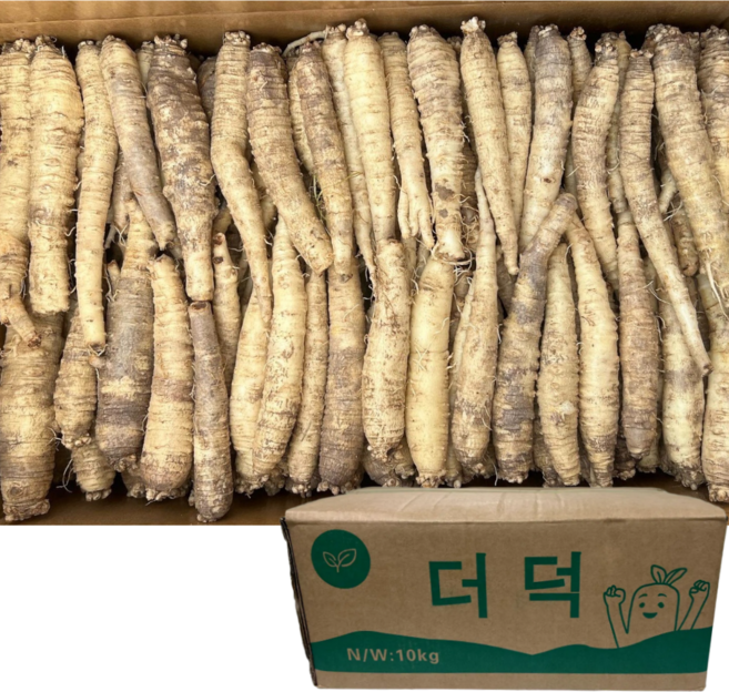 더덕(중사이즈) 세척더덕, 1개, 10kg
