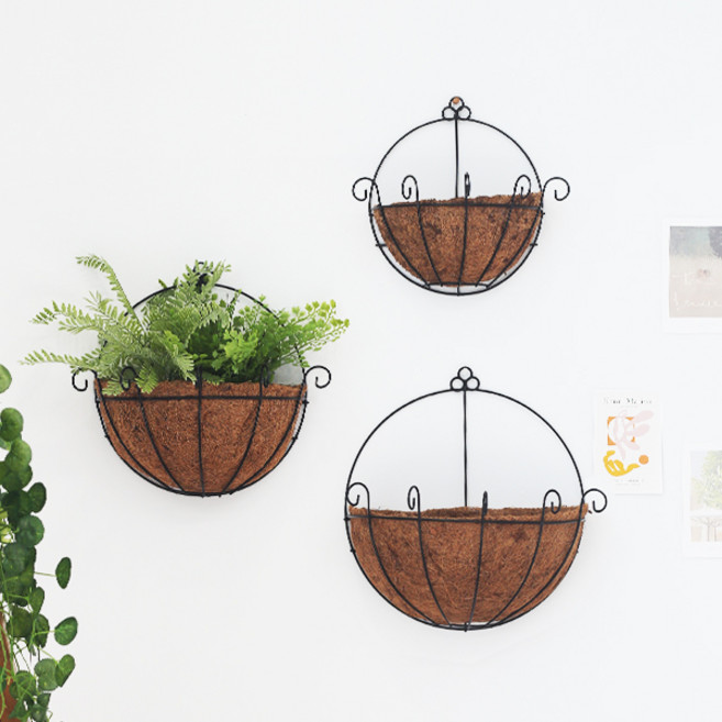 행잉플랜트 코코넛 반달 벽걸이화분 30cm, 단품, 1개