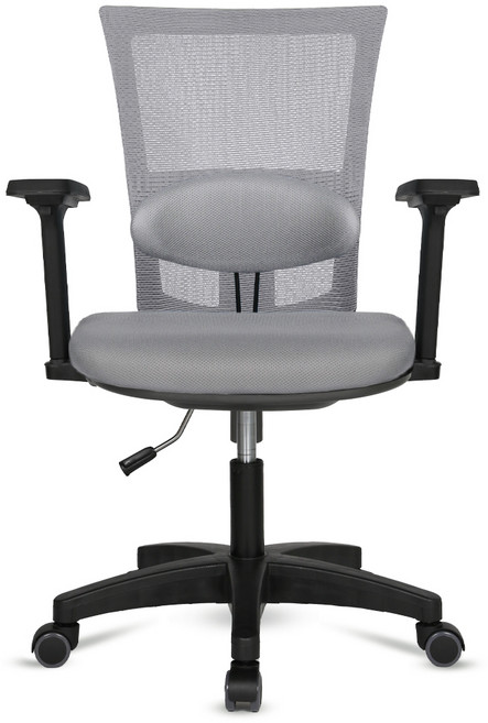 체어포커스 네오 고급형 대요추형 조절팔 블랙바디 N63 컴퓨터 책상 의자, 메쉬:올그레이