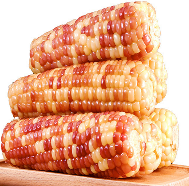 [한정수량] 쫀득달콤 급냉 홍찰 옥수수, 1박스, 10개