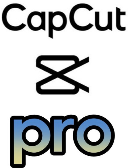 캡컷 PRO 1개월 구독 capcut 한달 프로 버전 유료 (개인신규계정 기간보증)